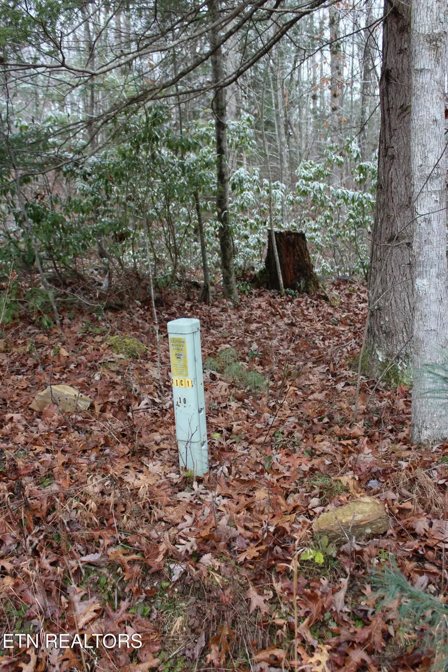 Laurel Rd, Jamestown, TN 38556 - Image #3