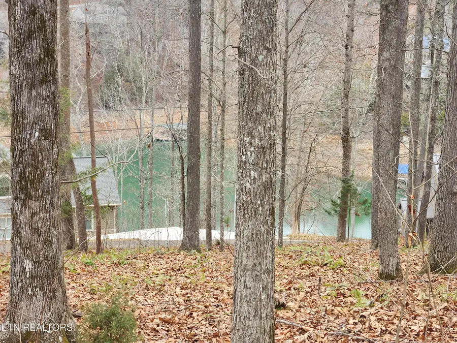 lot 21 Deer Run Point, Lafollette, TN 37766 - Image #3
