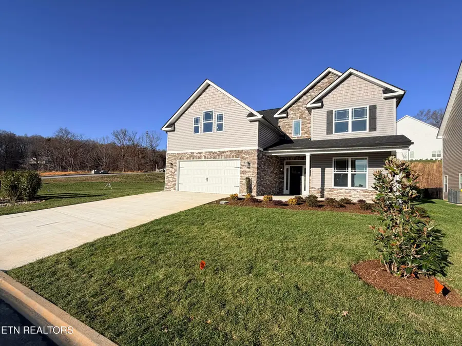 3636 Trailing Vine Lane, Knoxville, TN 37931 - Image #3