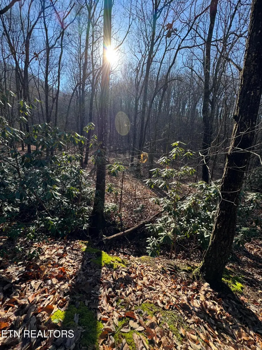 3766 Eagle Ridge Rd, Maryville, TN 37803 - Image #3