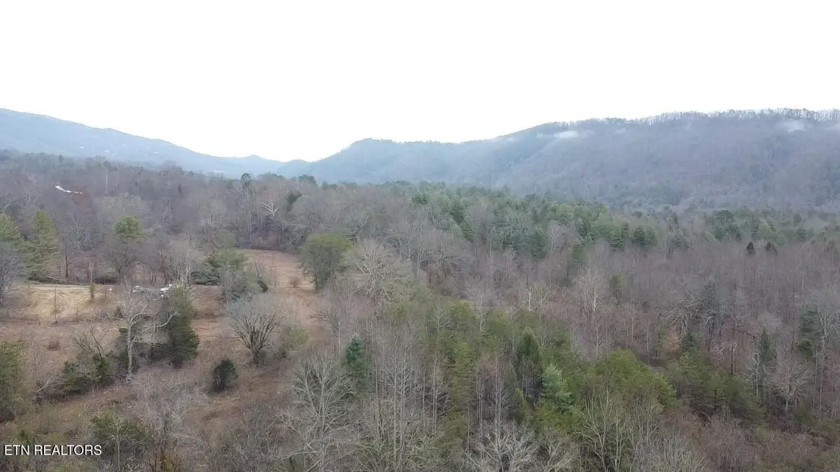 83.8 acres E Millers Cove Rd, Walland, TN 37886 - Image #1