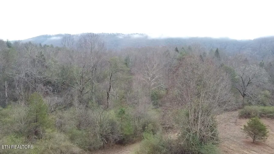 83.8 acres E Millers Cove Rd, Walland, TN 37886 - Image #2