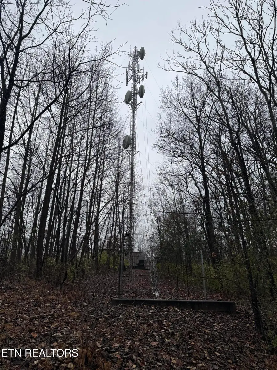 174 Veterans Rd, Sweetwater, TN 37874 - Image #2