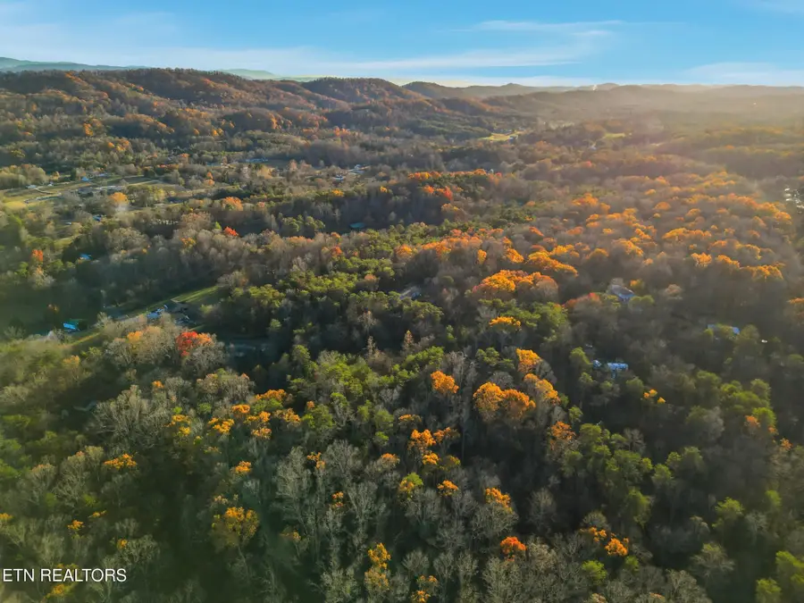 7820 Swaggerty Rd, Knoxville, TN 37920 - Image #2