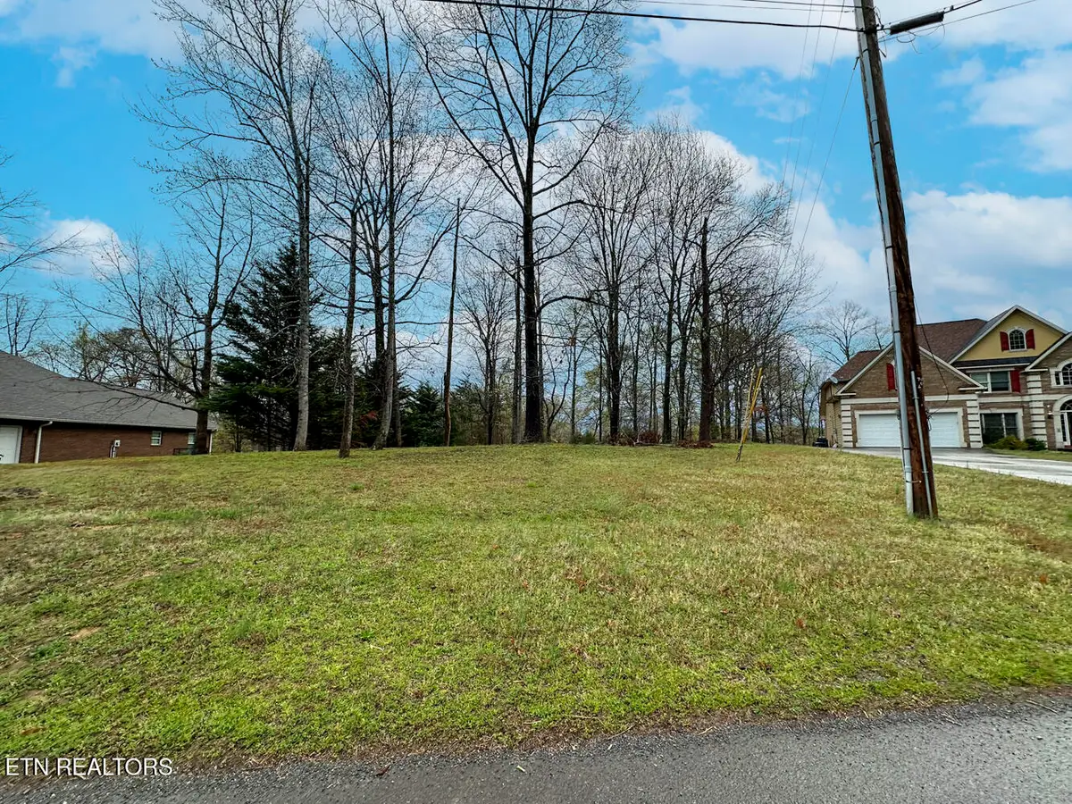 0 David Swann Drive, Dandridge, TN 37725 - Image #1
