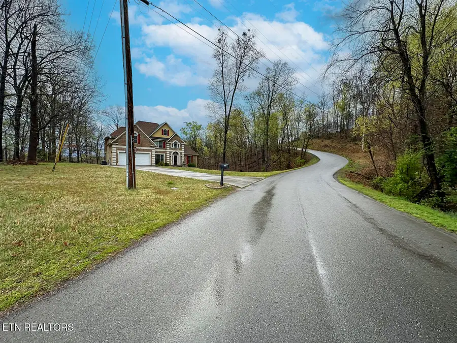 0 David Swann Drive, Dandridge, TN 37725 - Image #3