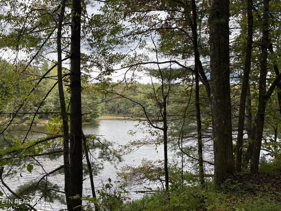 Lot 113 Bear Den Tr, Grandview, TN 37337 - #3