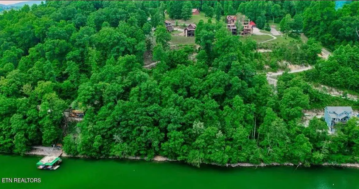 Hiawatha Lane, Caryville, TN 37714 - Image #1