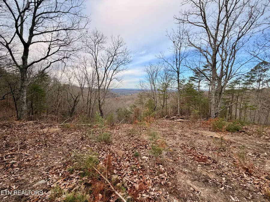 Laurel Bluff Rd, Kingston, TN 37763 - Image #2