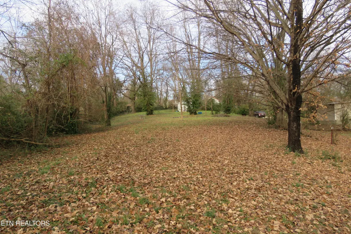 218 Celina St, Livingston, TN 38570 - #1