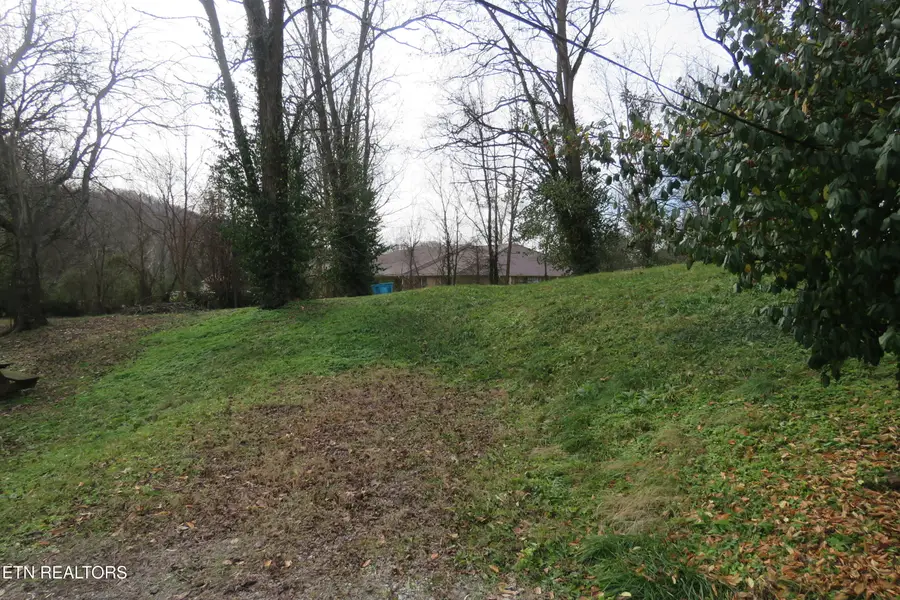 218 Celina St, Livingston, TN 38570 - #2