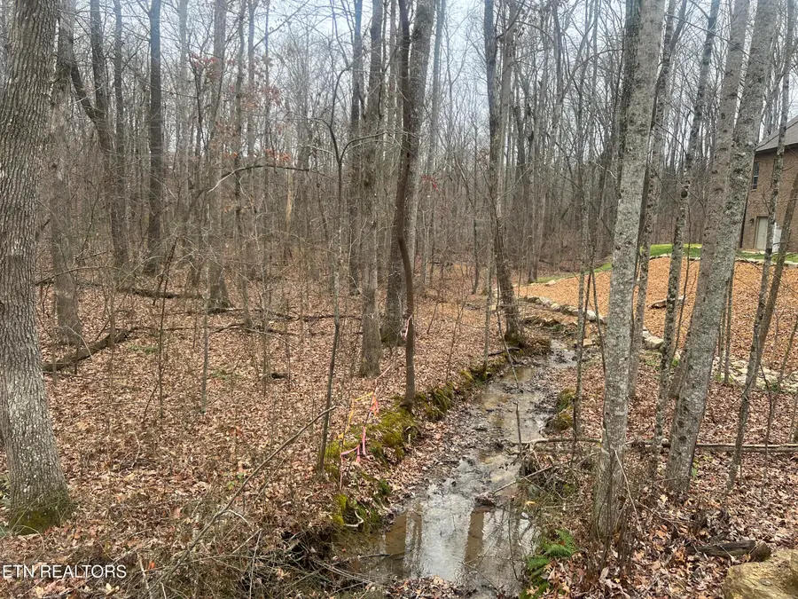 49 Kingsbury Circle, Fairfield Glade, TN 38558 - Image #3