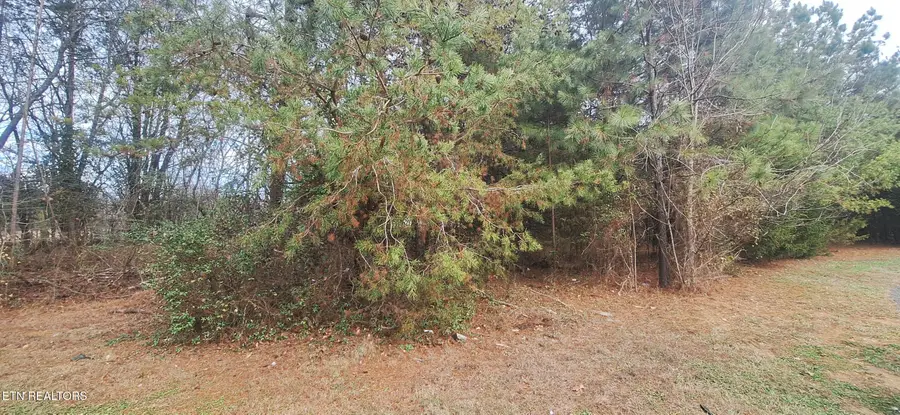 Raintree Lane, Kingston, TN 37763 - Image #2