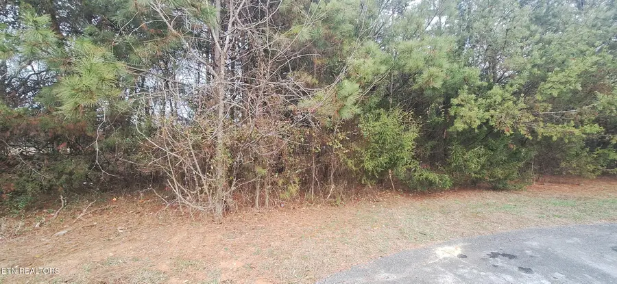 Raintree Lane, Kingston, TN 37763 - Image #3