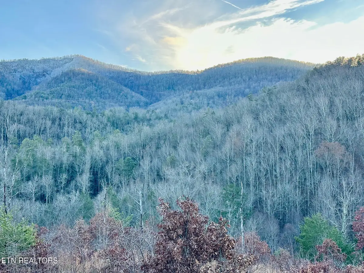 1611 Mountain Dreams Way, Pigeon Forge, TN 37862 - Image #1