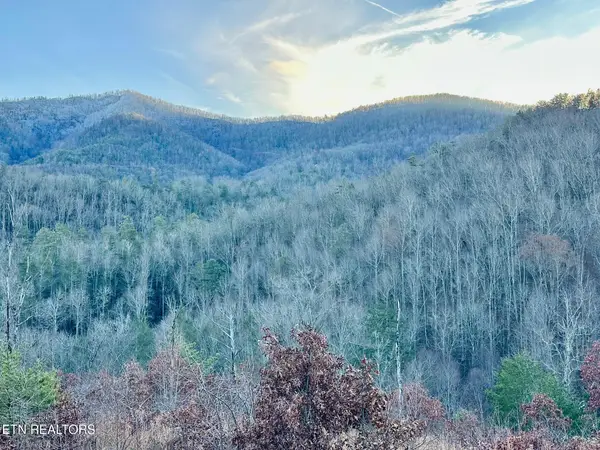 1611 Mountain Dreams Way, Pigeon Forge, TN 37862