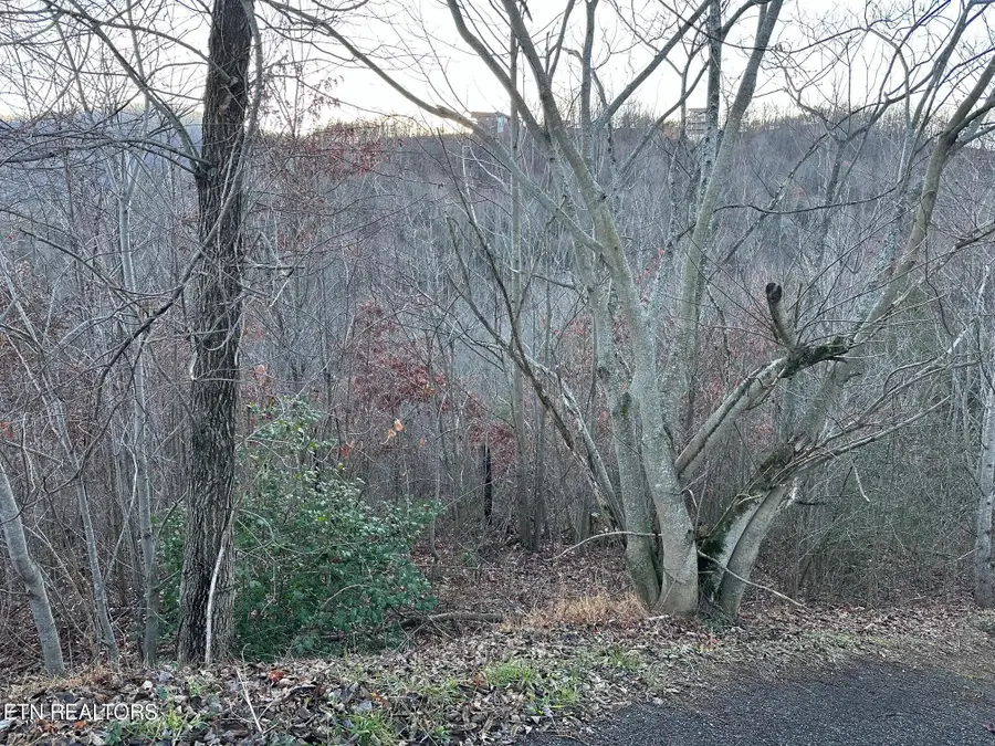 1611 Mountain Dreams Way, Pigeon Forge, TN 37862 - Image #3