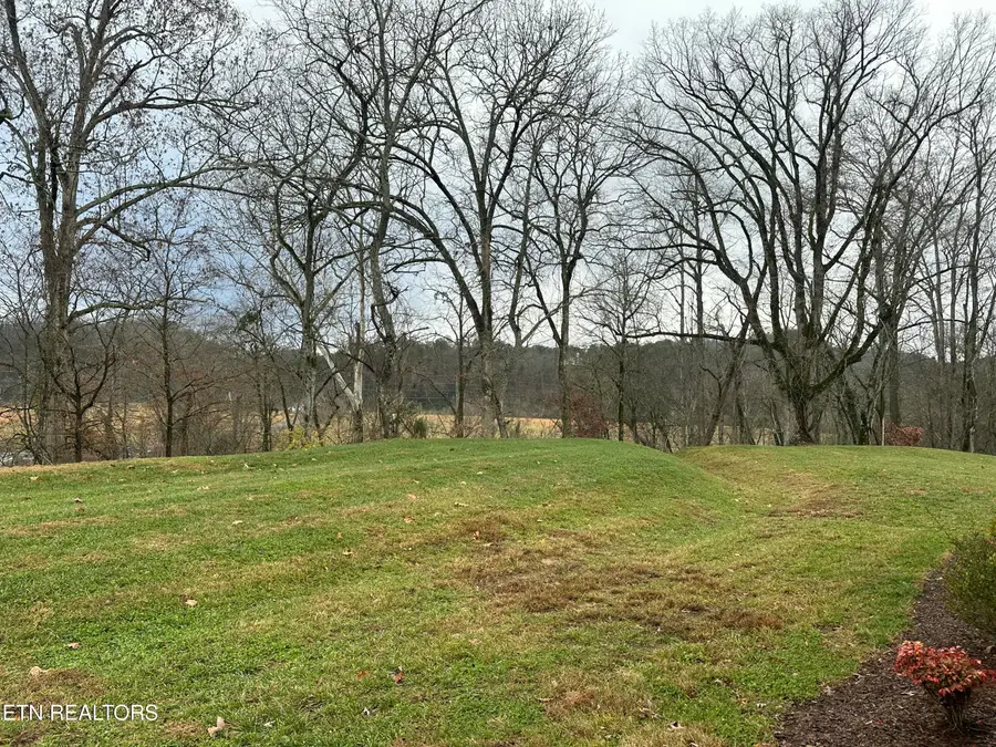 766 Snowfllower Circle Circle, Pigeon Forge, TN 37863 - Image #2