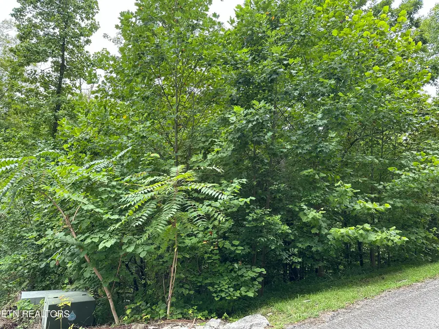 lot 21 Ridge Rd, Caryville, TN 37714 - #2
