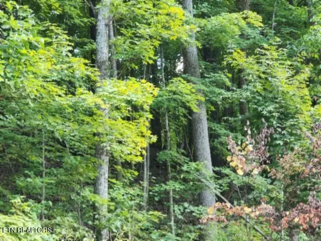 Lot 41 Apache Rd, Jamestown, TN 38556 - Image #2