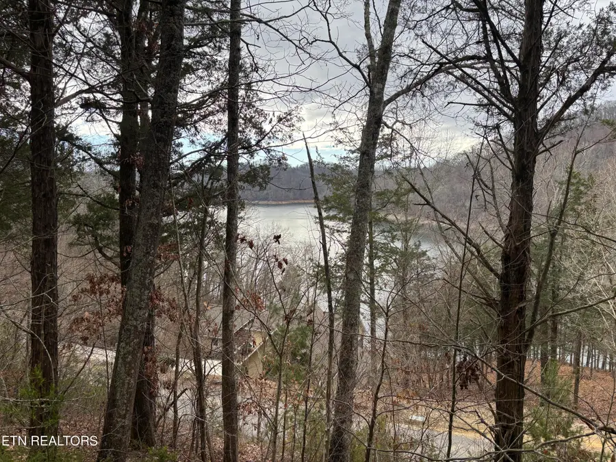 Russell Brothers Road Rd, Sharps Chapel, TN 37866 - #2