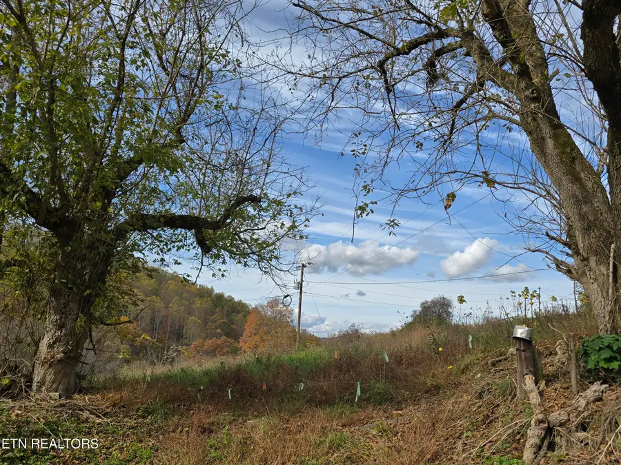 227 Elihu Rd, Sneedville, TN 37869 - Image #3