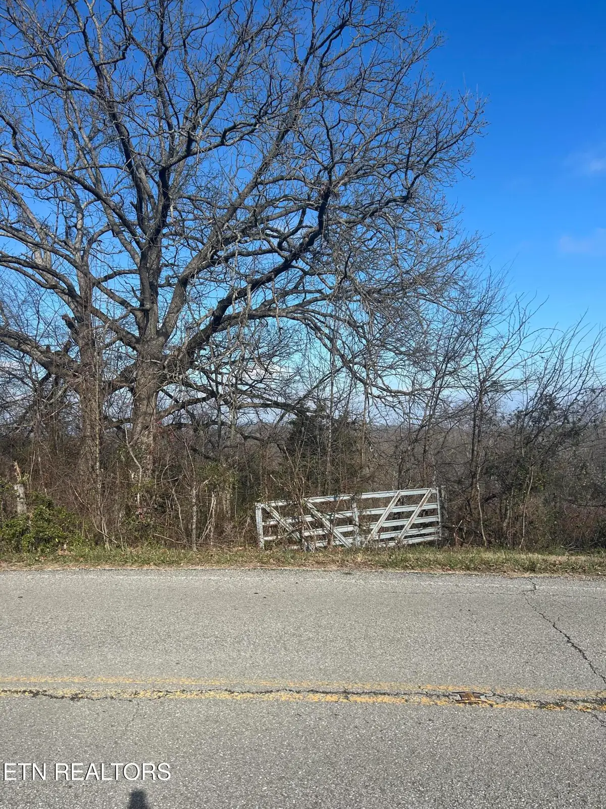 lot 0 Demory Rd, Lafollette, TN 37766 - Image #1