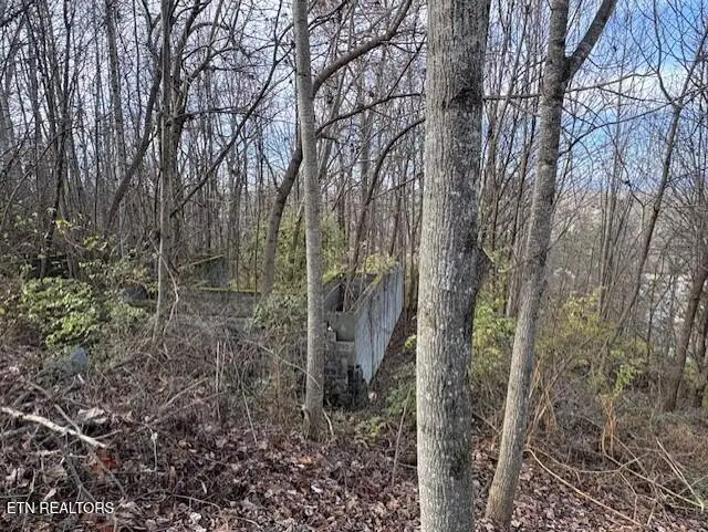 11207 Elm Crest Lane, Knoxville, TN 37932 - Image #3