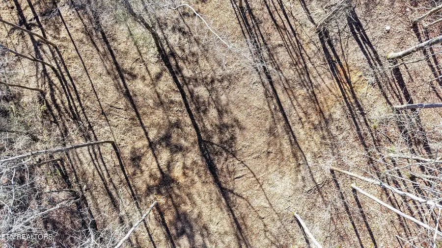 Sunrise Lane, Decatur, TN 37322 - Image #2