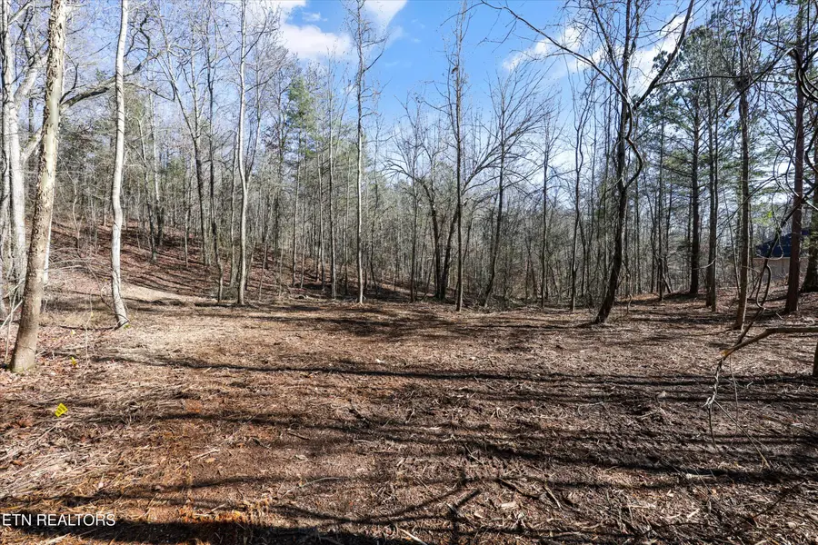 Sunrise Lane, Decatur, TN 37322 - Image #3