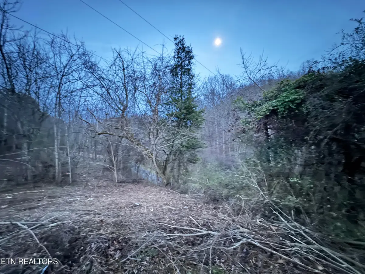 1135 Ned Clark Rd, Bean Station, TN 37708 - Image #1