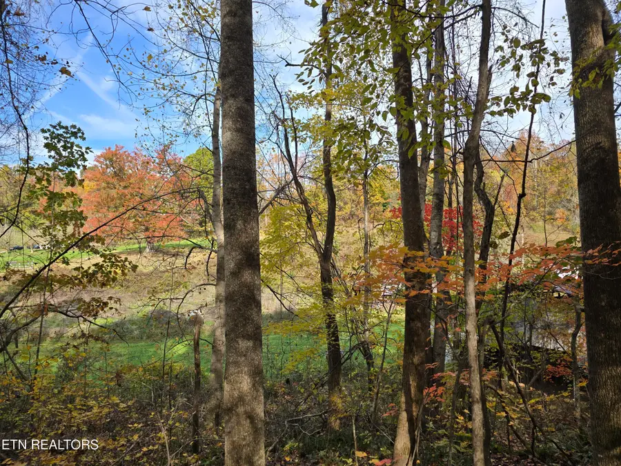 218 Don Greene Rd, Sneedville, TN 37869 - Image #3