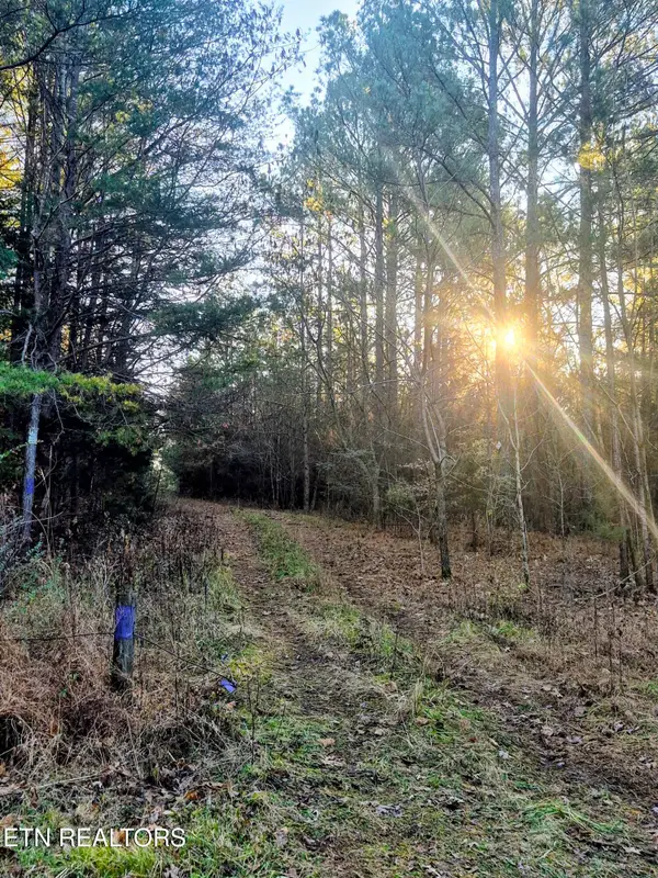 County Road 414, Englewood, TN 37329