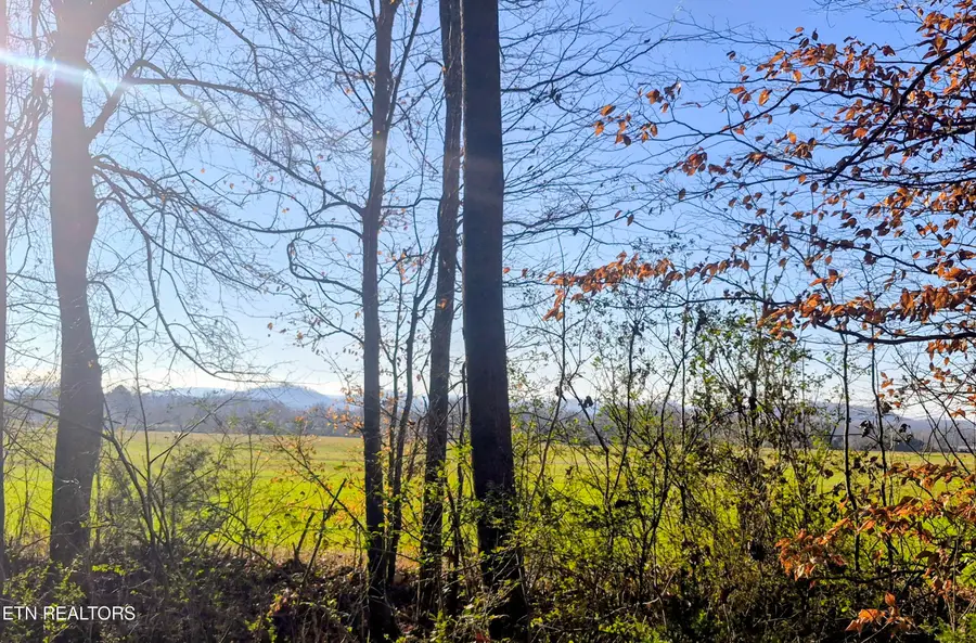 County Road 414, Englewood, TN 37329 - Image #2