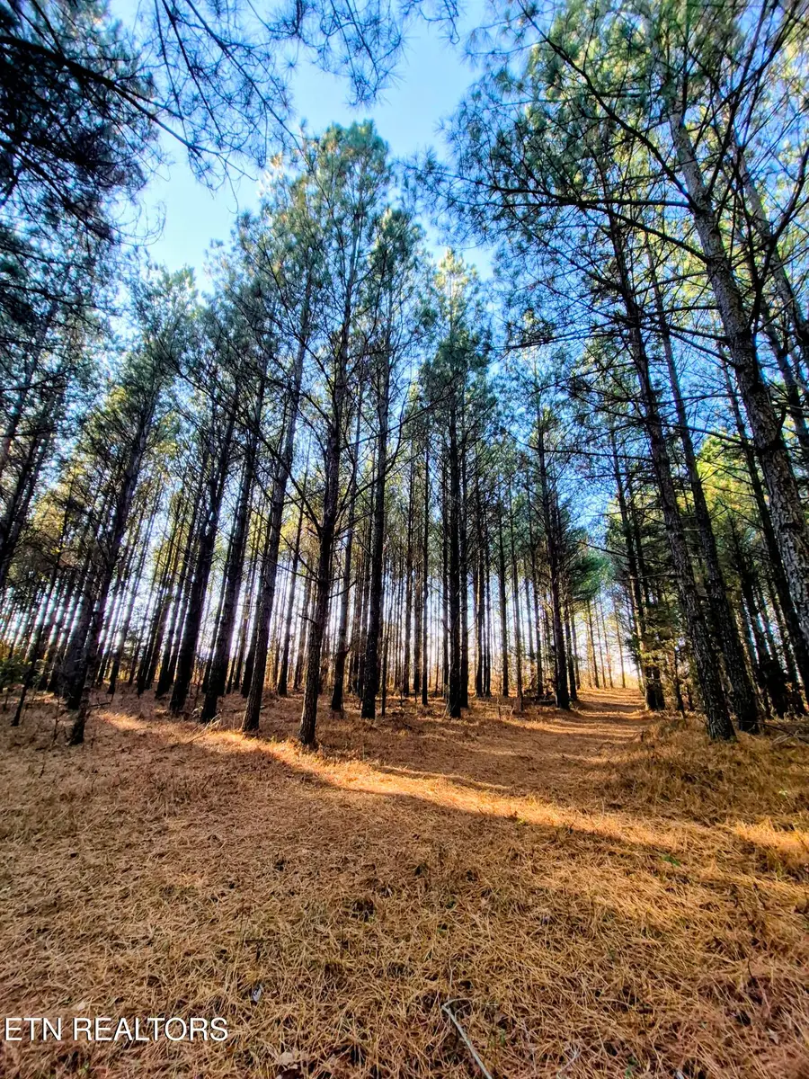 County Road 414, Englewood, TN 37329 - Image #3