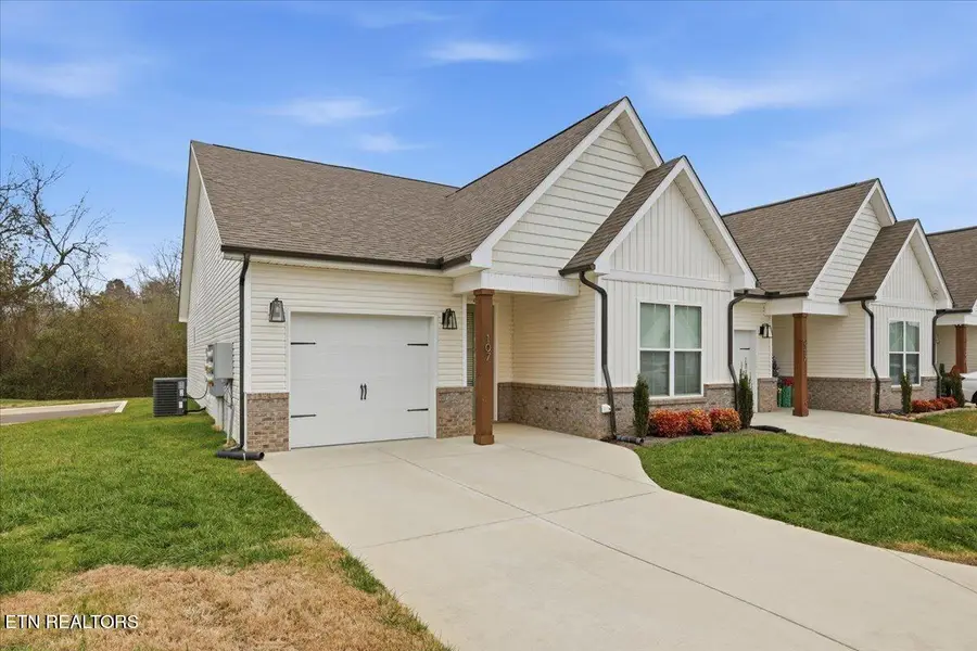 107 Gray Wolf Way, Lenoir City, TN 37771 - Image #2