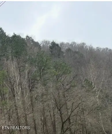 TBD Hwy 38, LeJunior, KY 40849