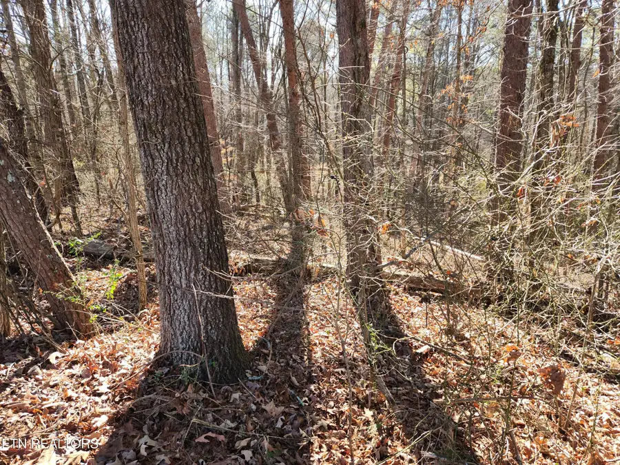 Creek Rd, Sweetwater, TN 37874 - Image #3