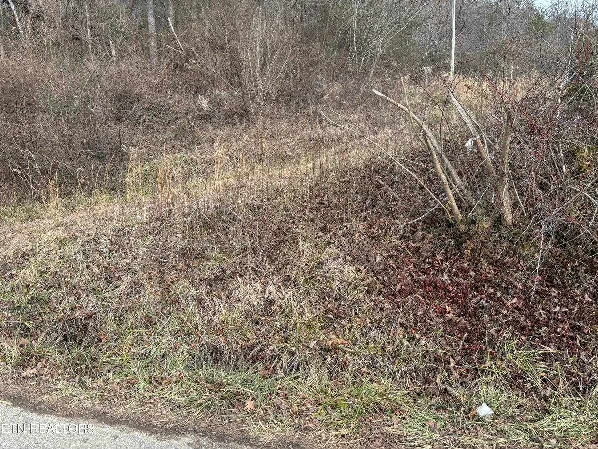 361 Newport Trail, Helenwood, TN 37755 - Image #1