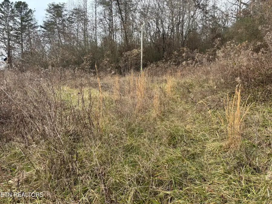 361 Newport Trail, Helenwood, TN 37755 - Image #3