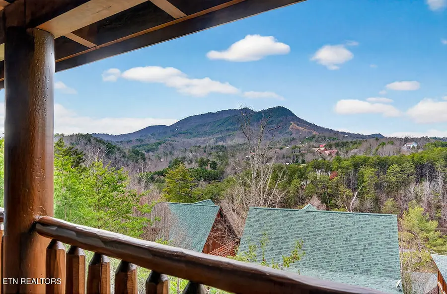 1949 Cougar Crossing Way, Sevierville, TN 37876 - Image #3