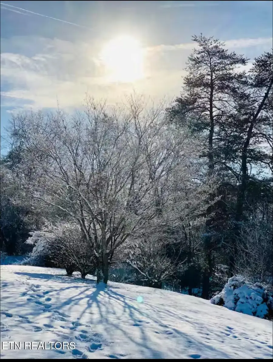 364 Jasmine Drive, Newport, TN 37821 - Image #2