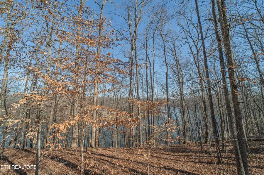 Sheerwater Rd, Kingston, TN 37763 - Image #3