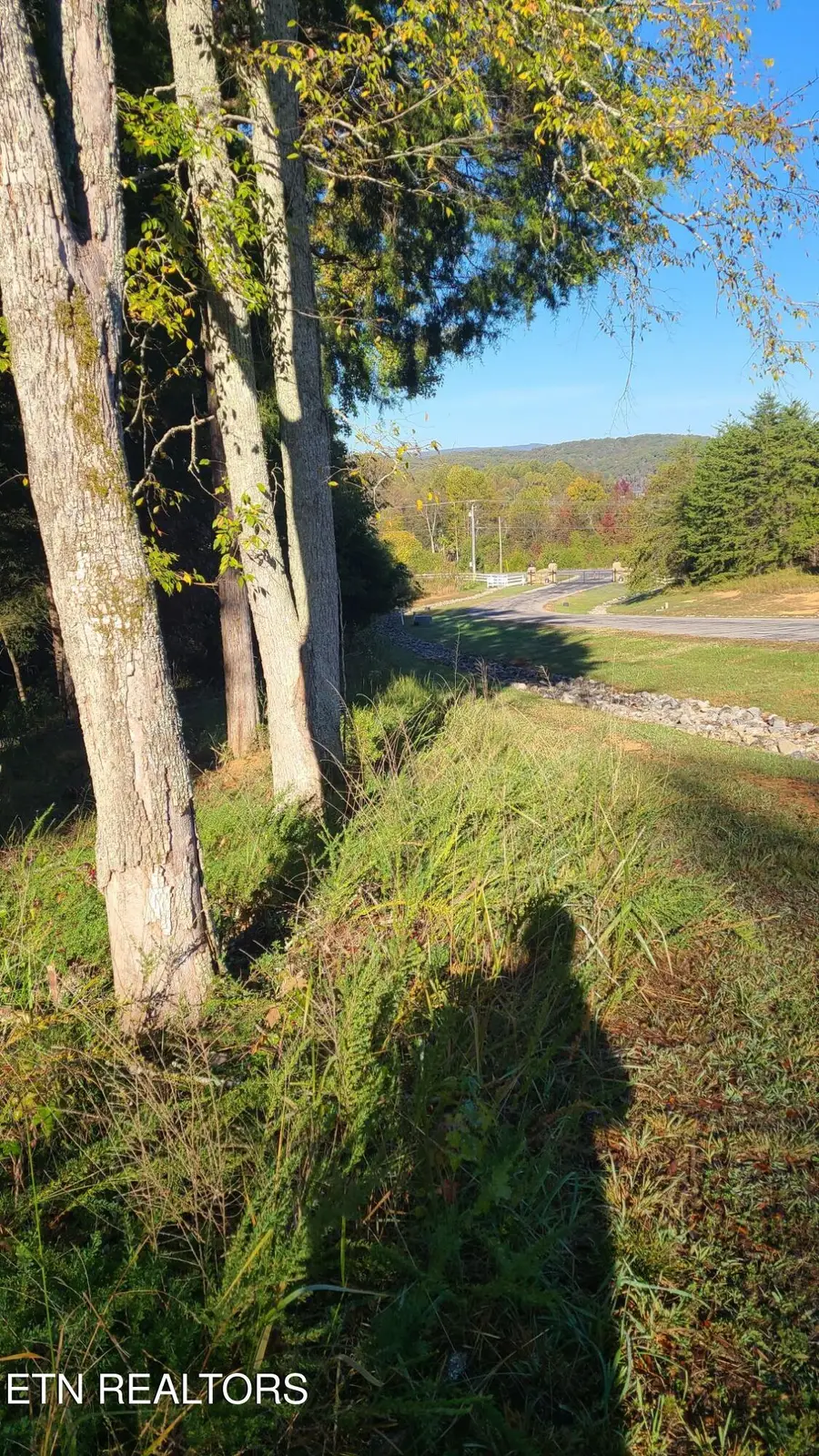 1613 New Hope Rd, Rockwood, TN 37854 - Image #2