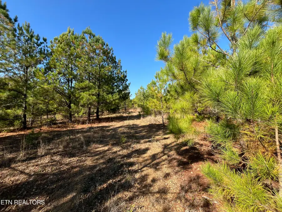 Simmons Branch Road Rd, Centerville, TN 37033 - Image #3