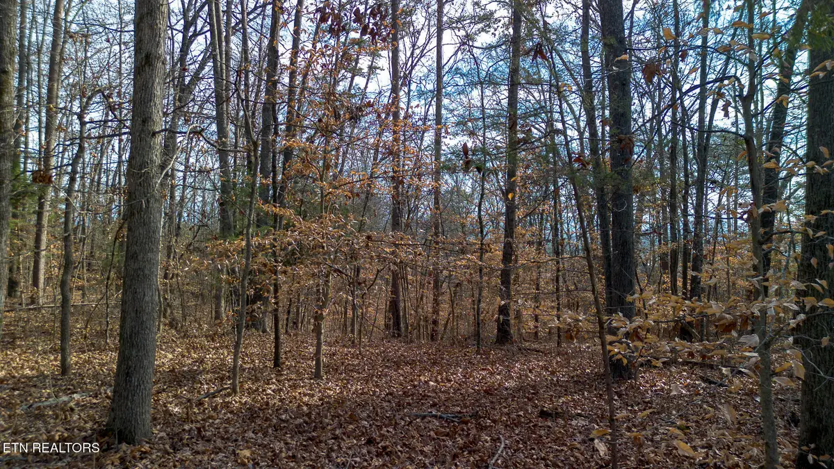 Tract 4 Armstrong Drive, Dandridge, TN 37725 - Image #1