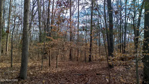 Tract 4 Armstrong Drive, Dandridge, TN 37725