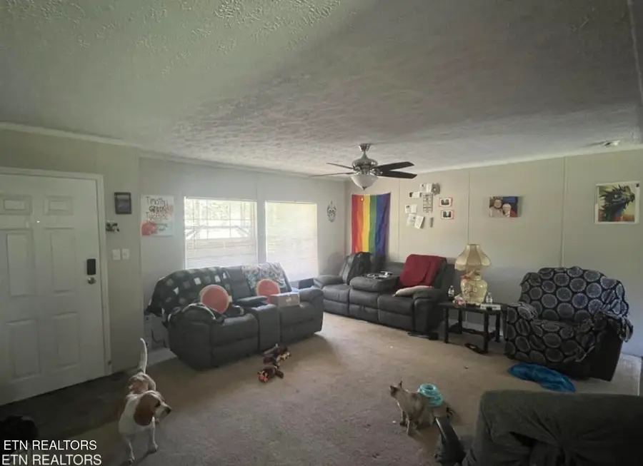 306 Honeycutt Rd, Oneida, TN 37841 - #3