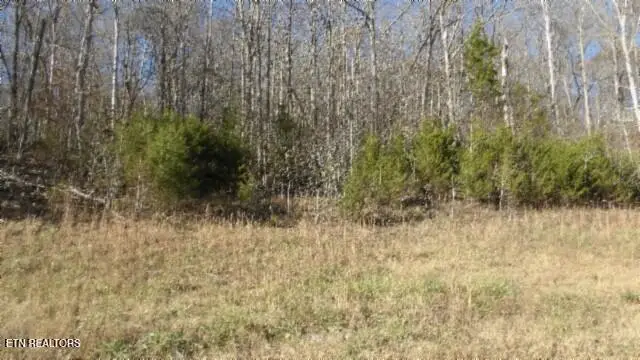 Lot 46 Cheyenne Drive, Jamestown, TN 38556 - #1