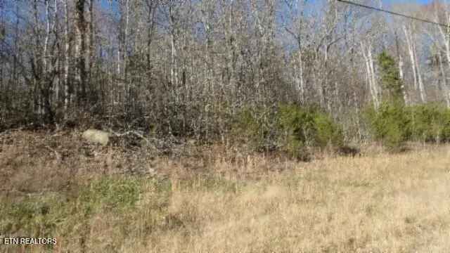 Lot 46 Cheyenne Drive, Jamestown, TN 38556 - #2